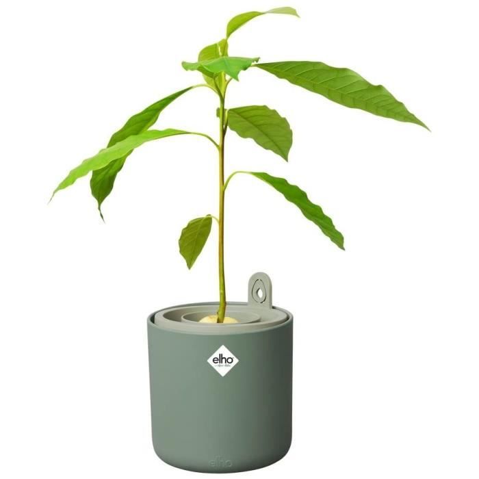 Pot De Fleurs Rond AMAZING AVOCADO - Plastique - Ø16 - Leaf Green ELHO