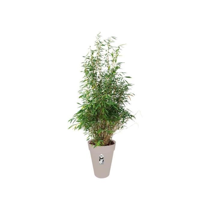 Pot de fleurs rond ELHO Loft Urban Haut 42 - Gris - Ø 42 x H 56 cm - extérieur ELHO