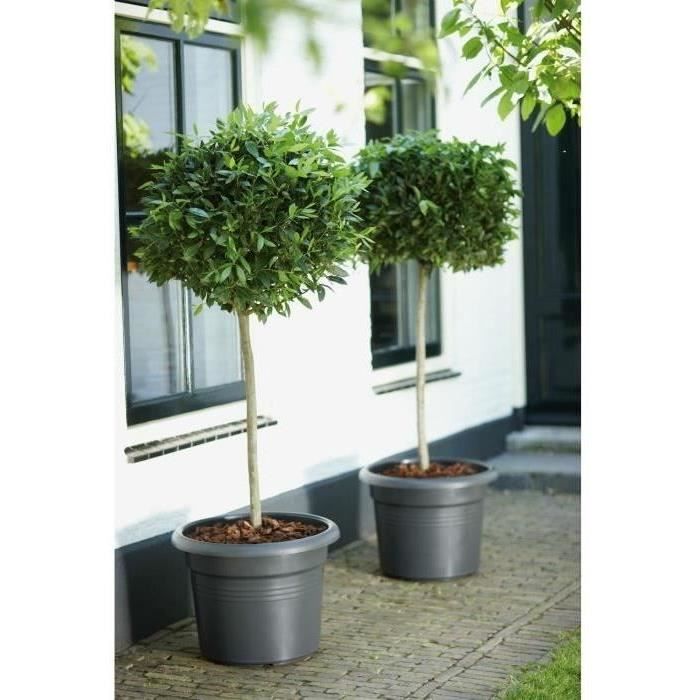 Pot De Fleurs Rond GREEN BASICS - Plastique  - Ø40 - Noir ELHO