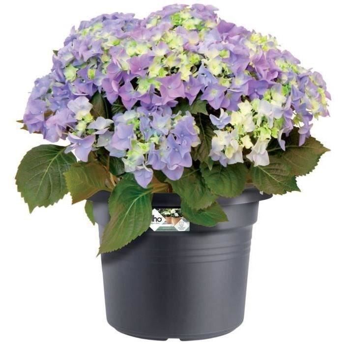 Pot De Fleurs Rond GREEN BASICS - Plastique  - Ø40 - Noir ELHO