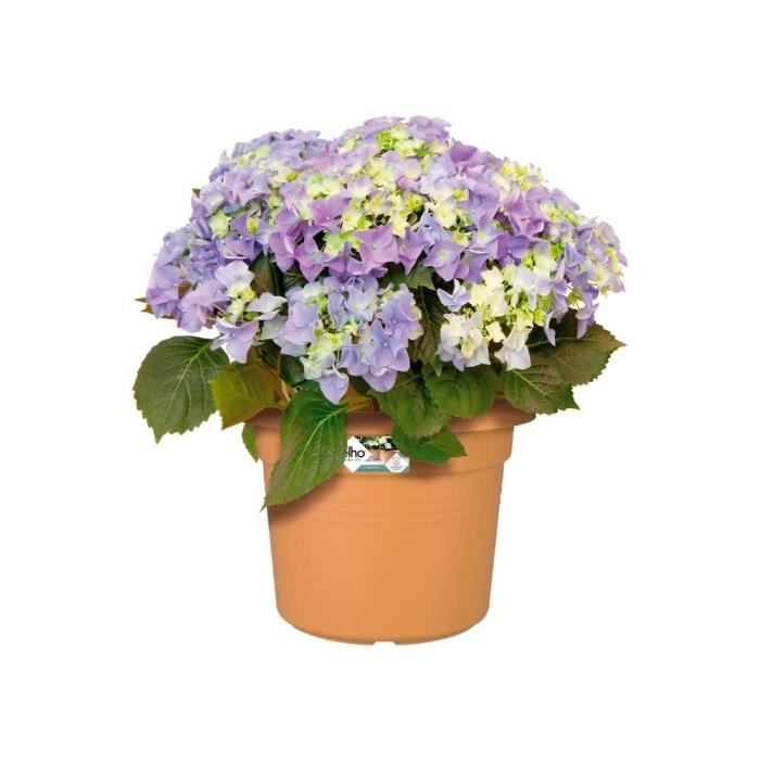 Pot De Fleurs Rond GREEN BASICS - Plastique  - Ø40 - Terre cuite doux ELHO