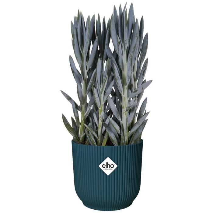 Pot De Fleurs Rond VIBES - Plastique - Ø22 - Bleu Foncé ELHO