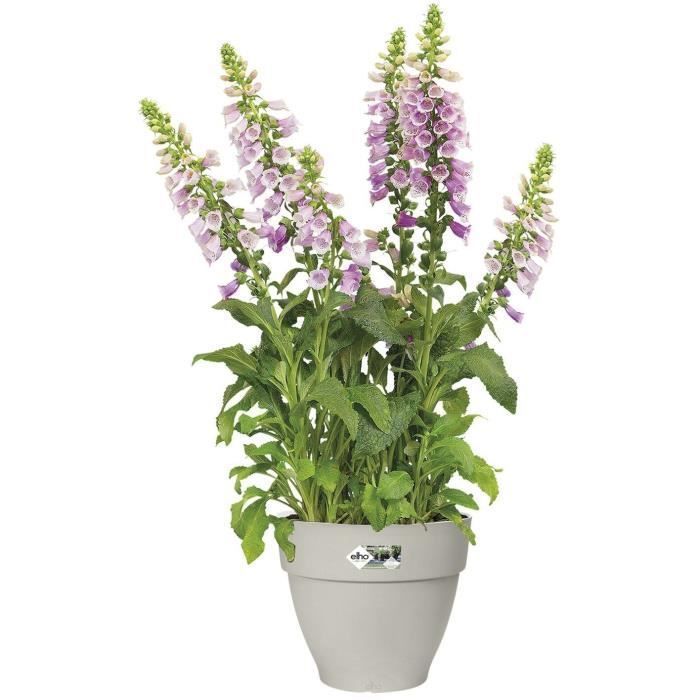 Pot De Fleurs Rond VIBIA - Plastique Réservoir - Ø40 - Blanc ELHO