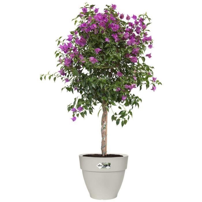 Pot De Fleurs Rond VIBIA - Plastique Réservoir - Ø40 - Blanc ELHO