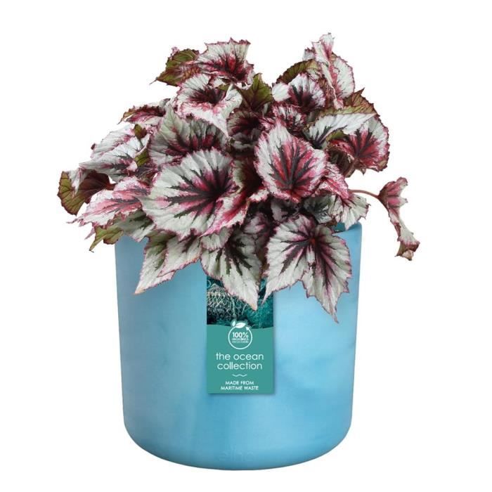 Pot de fleurs ronde ELHO The Ocean Collection - Bleu - Ø 22 x H 20 cm - 100% recyclé ELHO