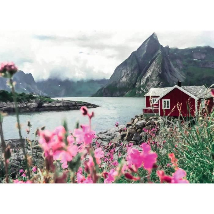 Puzzle 1000 pieces Reine Lofoten Norvege - Ravensburger - Puzzle Adulte - Paysage et nature - Multicolore