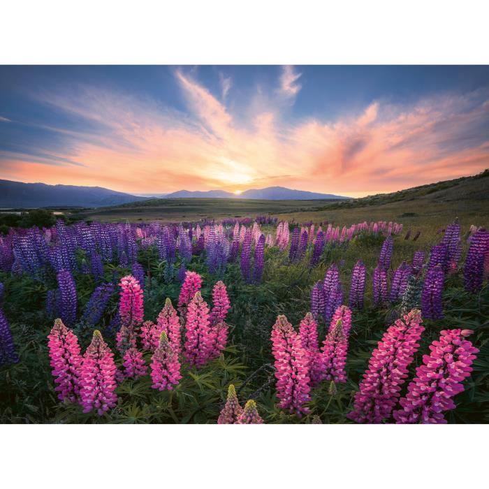 Puzzle 500 pieces Les lupins (Nature edition) Des 12 ans Puzzle de qualité supérieure 12000688 Ravensburger