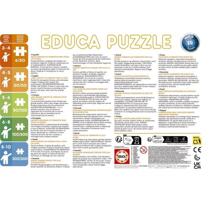 Puzzle - EDUCA - Petit Ours Brun: Ensemble de 2 puzzles de 48 pieces pour enfants des 4 ans