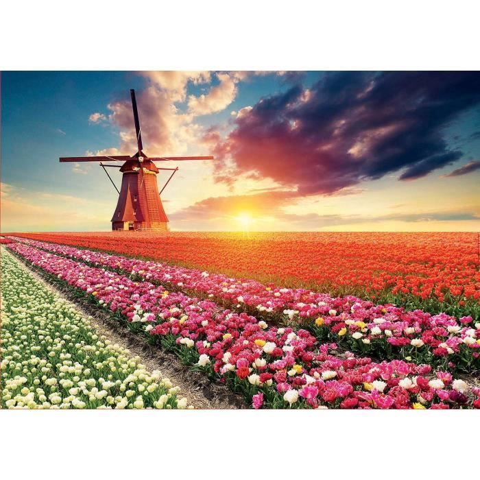 Puzzle paysage et nature - EDUCA - 1500 pieces - Rose - pour adulte