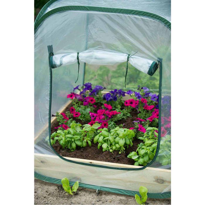 Serre de jardin Pop-Up - NATURE - 100x100x100 cm - PE transparent - Protection anti-UV NATURE