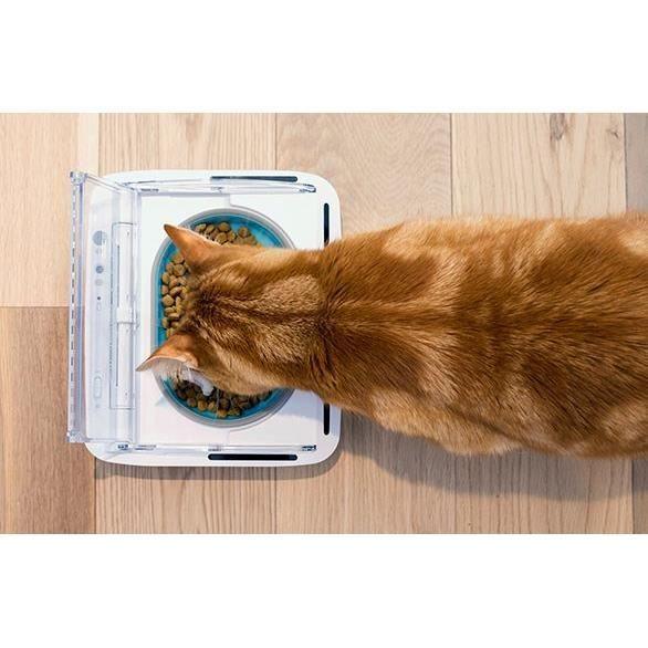 SUREFEED Distributeur de nourriture automatique pour chat anti-odeur - Blanc (Livré avec un bol simple) SUREFLAP