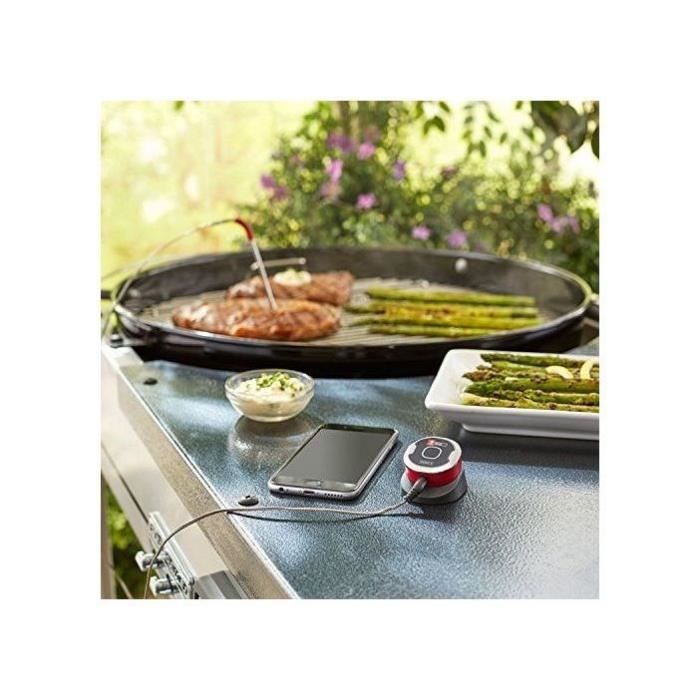 Accessoire barbecue et plancha Weber SONDE IGRILL MINI - Paloma Tech