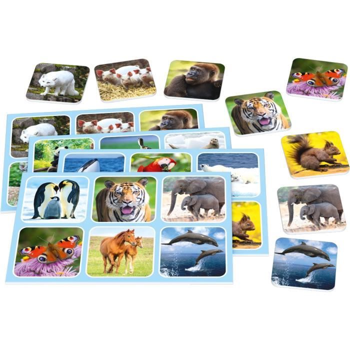 Zoo Lotto - Jeux de Société - SCHMIDT SPIELE - Amusez-vous en famille avec ce jeu de loto passionnant!