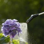GARDENA Atomizzatore a batteria EasyPump 5L - immagine 3