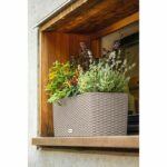 Jardiniere - Cottage Balconera 50 - Kit completo - Marrone sabbia - 8 L - LECHUZA - immagine 3