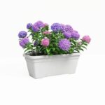 Fioriera - ARTEVASI - VENEZIA L SWS - 60 ma - Bianco - immagine 2