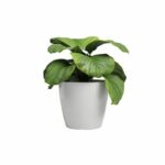 Vaso - ARTEVASI - SAN REMO - 36 br - Bianco - immagine 2