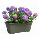 Fioriera - Plastica - Verde secco - Rettangolare - L77,9 x P24 x H22cm - ARTEVASI - immagine 2