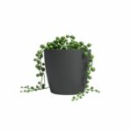 Vaso - ARTEVASI - SAN REMO - 30 ma - Antracite - immagine 2