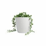 Vaso - ARTEVASI - SAN REMO - 42 mt - Bianco - immagine 2
