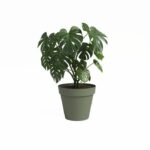 Vaso - ARTEVASI - CAPRI - 40 ma - Verde cenere - immagine 2