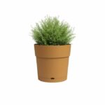 Vaso - ARTEVASI - RE GRANDE - 40 ma - Giallo miele - immagine 2