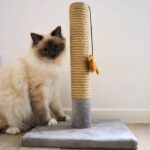 Tiragraffi - TYROL - Birdy 42cm - immagine 4