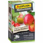 Alberi di frutta a lungo termine di fertilizzanti - algoflash naturasol - 2kg - immagine 2