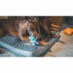 LOVES Mini Toy Plush Cow - For Dog - immagine 4