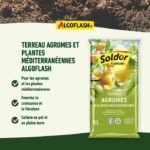ALGOFLASH - Terreno Agrumi e Vegetali Mediterranei 6 L - immagine 3