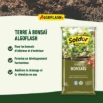 ALGOFLASH - Terreno per Bonsai 6 L - immagine 3