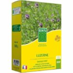 Erba medica - BHS - 500 g | 100 m² | Migliora il terreno, resiste al freddo e alla siccità, è ricca di proteine, minerali e vitamine.