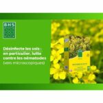 Fertilizzanti Verdi - BHS - Senape Bianca 500g | 100 mq | Migliora e disinfetta i terreni per una migliore fertilità. - immagine 5