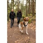 Pettorina per cani - SYMBIOZ - XS - Nera / Blu - immagine 3