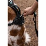 Pettorina per cani - SYMBIOZ - XS - Nera / Blu - immagine 5