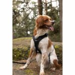 Pettorina per cani - SYMBIOZ - L - Nera / Blu - immagine 5