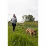 Guinzaglio per cani - CLASSICA - XL - 2,4 m - Cani fino a 25 kg - immagine 6