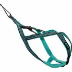 Imbracatura da trazione per cani - OLYMPIA - S - Tipo X-back - Blu - immagine 2