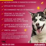 Pipette antiparassitarie ADVANTIX 6 - Per cani di grossa taglia oltre 25 kg - immagine 5