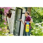 Spruzzatore manuale GLORIA Gloria - Modello Spray & Vernice 5 L - 3 bar - Ugello a valvola e getto piatto - Guarnizioni in Viton - immagine 3