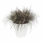 Vaso di fiori LU Ø 40 centimetri Bianco - immagine 3