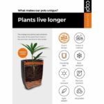 Capi Jardiniere Nature Rib 54x52 cm antracite KOFZ935 424244 - immagine 3