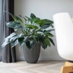 Vaso Capi Elegant Groove 46x58 cm Antracite 445501 - immagine 3