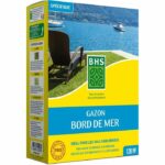 Prato - BHS - Seaside Lawn 3kg | Resistente al vento, alla siccità e al sale | Prato estivo bello, attraente e robusto.