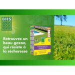 Prato - BHS - Ricrescita prato 1kg - immagine 2