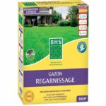 Rigenerante per terreni asciutti - BHS - 3 kg | 150 mq | Robusto e durevole, con eccellente resistenza e tolleranza al calpestio. - immagine 2