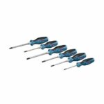 Set di 6 cacciaviti piatti