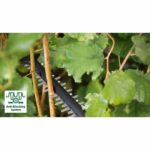Tagliasiepi a batteria Advanced Hedge Cut 36V-65-28 - immagine 2