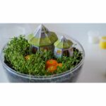 Terrarium Harry Potter - 19248 - Clementoni - immagine 5