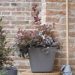 Vaso quadrato per fiori - DEROMA - Origin - 12 L - Grigio - immagine 2